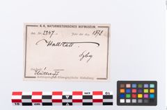 Etikett zu Eisenbeil (NHMW-PRAE-002347)